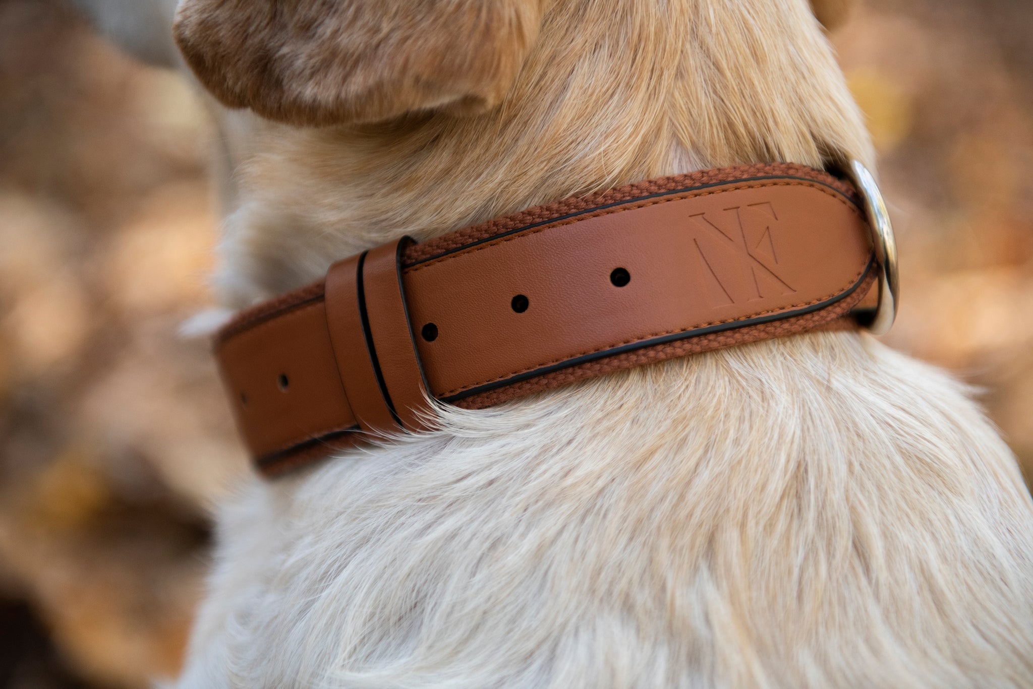 LOUIS VUITTON Dog Collar Brown Beige Monogram Coated Leather Goods